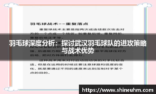 羽毛球深度分析：探讨武汉羽毛球队的进攻策略与战术优势
